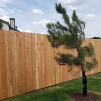 Cedar