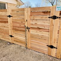 Cedar