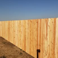 Cedar