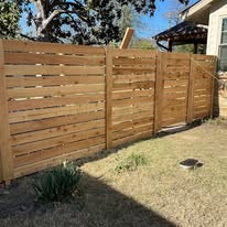 Cedar