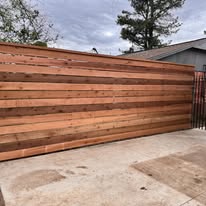 Cedar