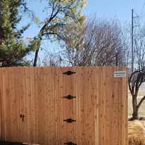 Cedar