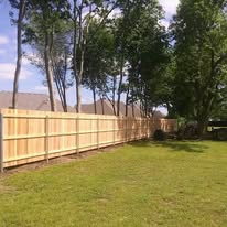 Cedar