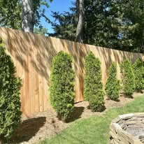 Cedar fence